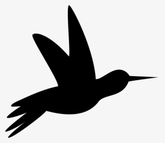 Humming Bird Black Side Silhouette - Silueta Colibri, HD Png Download, Transparent PNG