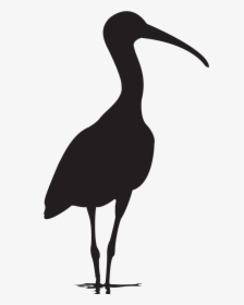Flying Scarlet Ibis Silhouette, HD Png Download, Transparent PNG