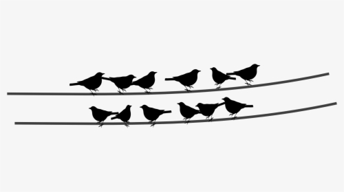 Birds On A Wire Png, Transparent Png, Transparent PNG