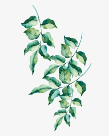 Painted Leaves, HD Png Download, Transparent PNG