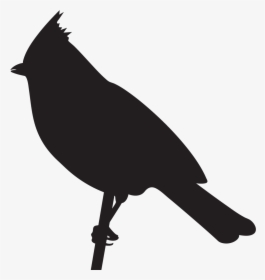 Chickadees - Titmouse Bird Silhouette, HD Png Download, Transparent PNG