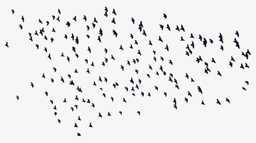 Input Flock Of Birds Silhouette , Png Download - Flock, Transparent Png, Transparent PNG