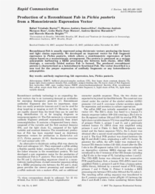 Document, HD Png Download, Transparent PNG