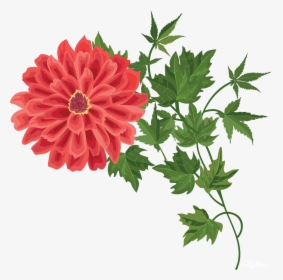 Free Beautiful Flower Vase With Flowers Png - Рисованные Цветы В Пнг, Transparent Png, Transparent PNG