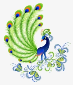 Peafowl Free Content - Beautiful Designs Of Peacock, HD Png Download, Transparent PNG