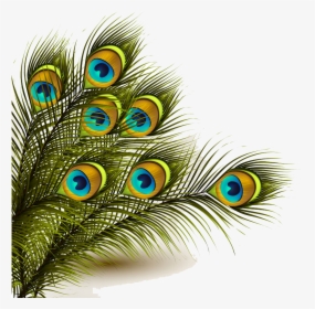 Peafowl Clipart Peacock Colour - Peacock Feather Png, Transparent Png, Transparent PNG