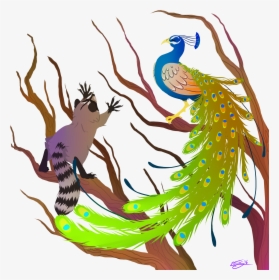 Peacock And Raccoon - Raccoon Peacock, HD Png Download, Transparent PNG