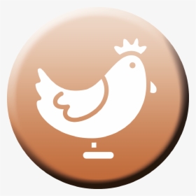 Transparent Live Chicken Png - Illustration, Png Download, Transparent PNG