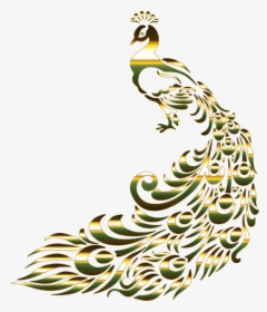 Pine Family,flora,leaf - Peacock Gold Feather Png, Transparent Png, Transparent PNG