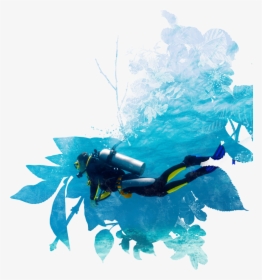 Img - Scuba Diving Illustration, HD Png Download, Transparent PNG