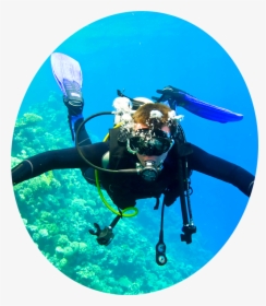 Banner-img - Scuba Diving Dangers, HD Png Download, Transparent PNG