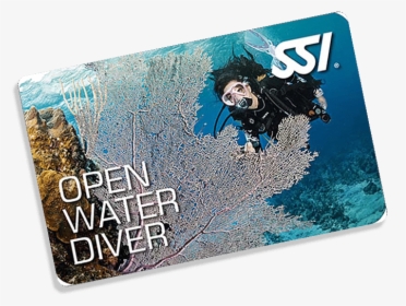 Open Water Diver, HD Png Download, Transparent PNG