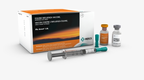 Equine Influenza Vaccine, HD Png Download, Transparent PNG
