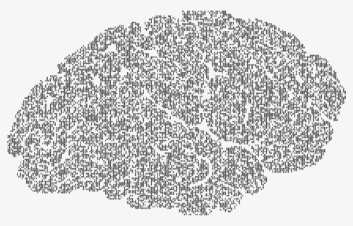 Brain, Binary, Computer, A, I, Ai, Anatomy - Brain Silhouette Png, Transparent Png, Transparent PNG