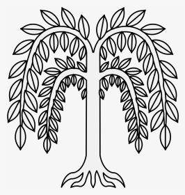 Weeping Willow Tree Clipart, HD Png Download, Transparent PNG