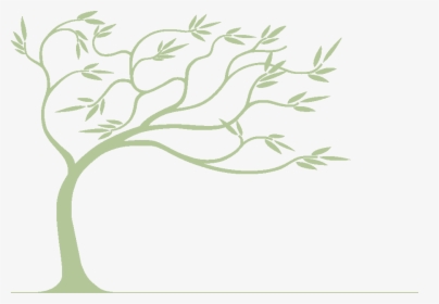 Willow Drawing Background - Willow Tree Bending In The Wind, HD Png Download, Transparent PNG