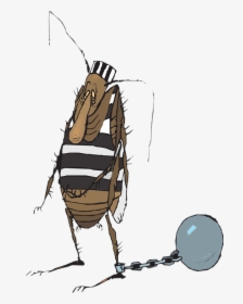 Ball, Chain, Bug, Jail, Insect, Prisoner, Guilty - Jail Bug, HD Png Download, Transparent PNG