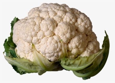 Download For Free Cabbage Png In High Resolution - Cauliflower Png, Transparent Png, Transparent PNG