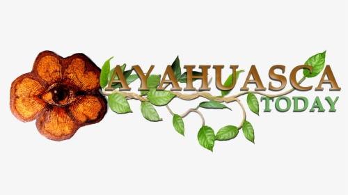 Ayahuasca Today Logo Large, HD Png Download, Transparent PNG