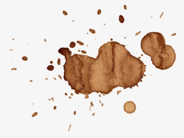 Coffee Cup Stain Png, Transparent Png, Transparent PNG