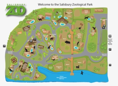 Map Of Zoo - Ocean City Maryland Zoo, HD Png Download, Transparent PNG