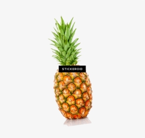 Transparent Ananas Png - Individual Fruit And Vegetables, Png Download, Transparent PNG