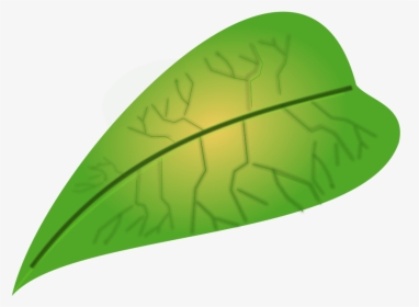 Green Leaf - Small Leaf Clipart, HD Png Download, Transparent PNG
