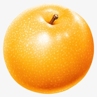 12413, HD Png Download, Transparent PNG