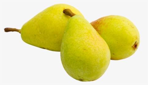 Pears, Fruit, Background, Health, Nutrient, Isolated - Special Pear, HD Png Download, Transparent PNG