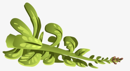 Plant, Green, Leaves, Branch, Nature, Grass - Clip Art, HD Png Download, Transparent PNG