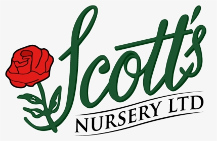 Scott S Nursery - Scott's Nursery, HD Png Download, Transparent PNG