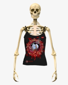 Zombe Top Anti Zombie Zhunter For Women - Skeletal System Human Skeleton, HD Png Download, Transparent PNG