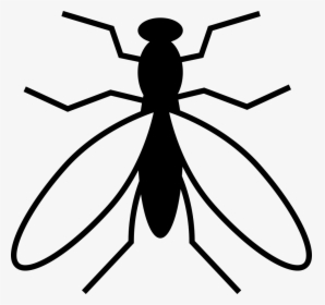 Mosquito From Top View - Mosquito Vector Art, HD Png Download, Transparent PNG