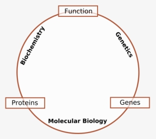 Molecular Biology, HD Png Download, Transparent PNG