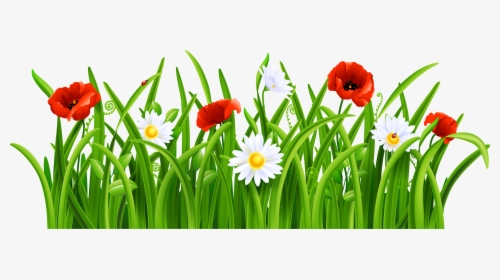 Grass With Flower Clipart Png - Flowers And Grass Png, Transparent Png, Transparent PNG