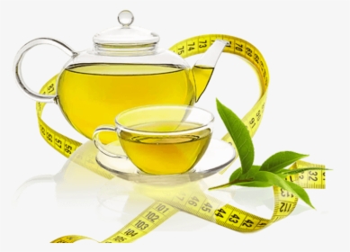 Best Green Tea In India Brands Weight Loss - Epigallocatechin Gallate Egcg, HD Png Download, Transparent PNG