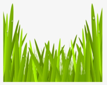 Green Grass Png Clip Art Image Gallery - Clipart Grass Transparent, Png Download, Transparent PNG