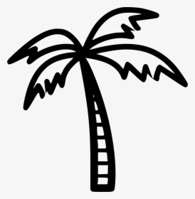 Coconut Tree - Coconut Tree Png Black And White, Transparent Png, Transparent PNG