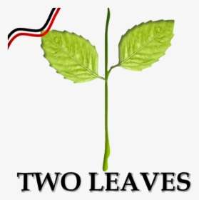 Two Leaves Party Symbol, HD Png Download, Transparent PNG