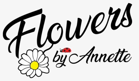 Flowers By Annette - Daisy, HD Png Download, Transparent PNG