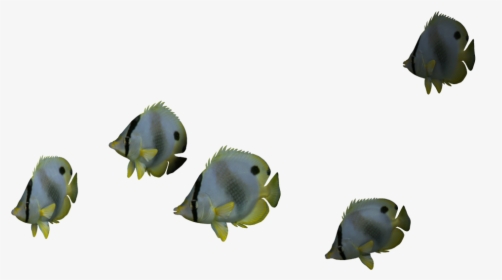 Ocean Fish Png , Png Download - Ocean Fish Png, Transparent Png, Transparent PNG