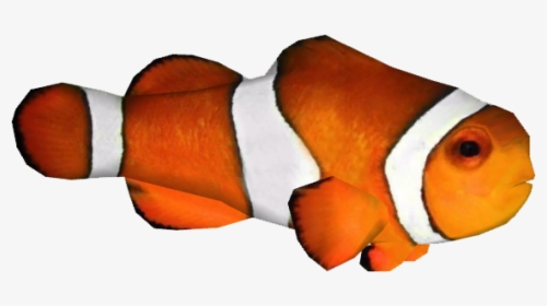 Clown Fish Png Free Image Download - Clown Png Fish, Transparent Png, Transparent PNG