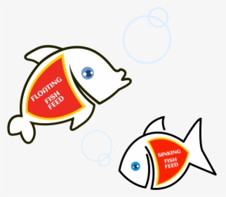 Real Gold Fish Packeging Design - Cartoon, HD Png Download, Transparent PNG