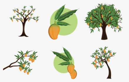Mango Clipart Stem - Mango Tree Clipart Black And White, HD Png Download, Transparent PNG