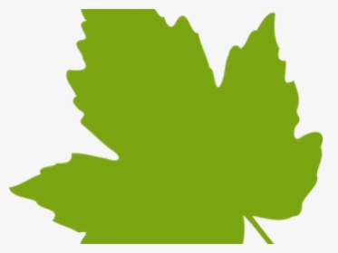 Maple Leaf Clipart Dry Leaf - Clip Art Grape Leaves, HD Png Download, Transparent PNG