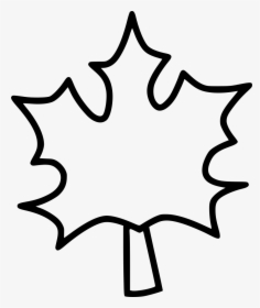 Maple Leaf Leaves Autumn Dry Tree - Line Art, HD Png Download, Transparent PNG