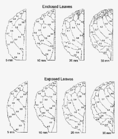 Diagram, HD Png Download, Transparent PNG