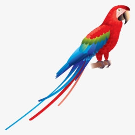 Transparent Parrot Png - Parrot Png, Png Download, Transparent PNG