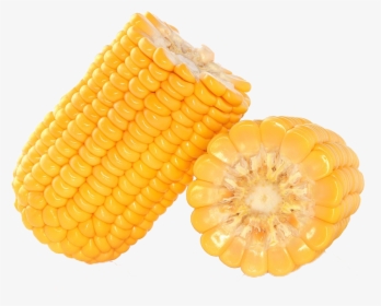Corn Kernel Png - Kfc Corn Png, Transparent Png, Transparent PNG