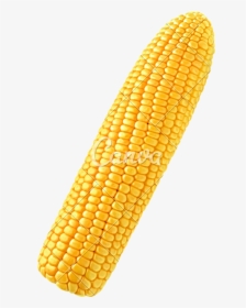 Corn Png Single - Single Corn On The Cob, Transparent Png, Transparent PNG